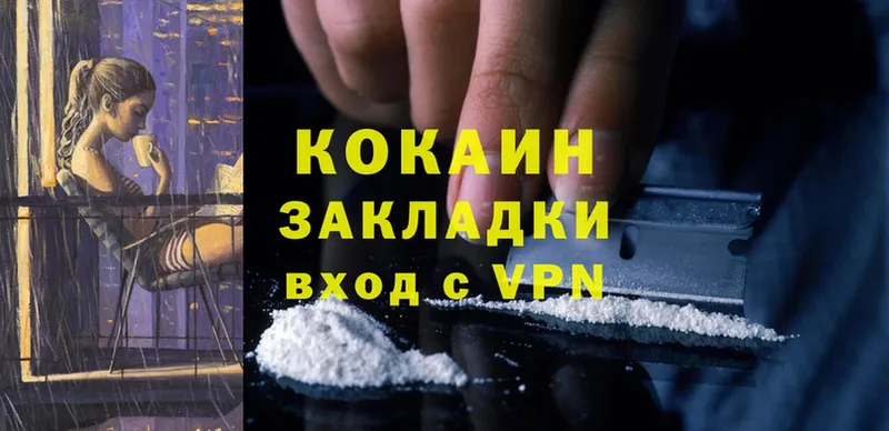 сколько стоит  Сыктывкар  COCAIN Fish Scale 